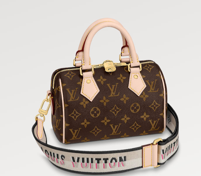 Louis Vuitton Speedy 20 Review & Is it worth buying in 2024